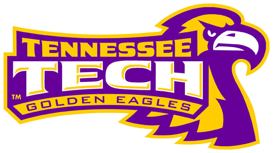 Tennessee Tech Golden Eagles 2006-Pres Alternate Logo v3 diy DTF decal sticker